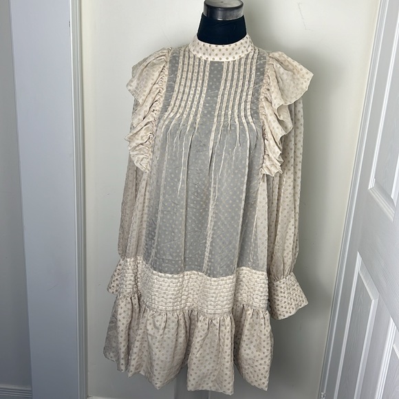 H&M Drop Waist Raffle Babydoll Polka Sheer Dress Size Small - Picture 4 of 13